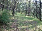 Imagen 078.jpg