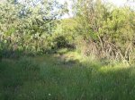Imagen 084.jpg