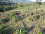 Imagen 086.jpg