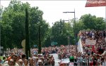 tdf08st19eh-crowd1[1].jpg