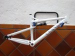 DSC00450.jpg