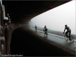 rllr08-waugh[1].jpg