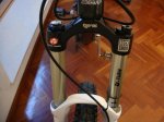 DSC00729.jpg