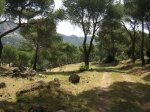 DSCN6837.jpg