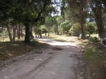DSCN6852.jpg