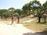 DSCN6853.jpg