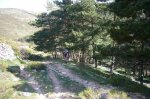 Foto29.JPG