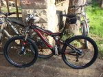 Specialized.jpg
