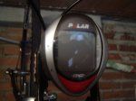 DSC04601.jpg