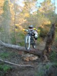 DSC08175.jpg