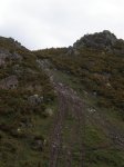 P5100009.JPG