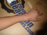 DSC01987.jpg