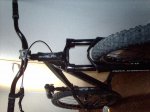 IMAG0487.jpg