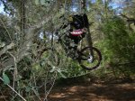 CircuÃ¯t DH Sa Creu 16-5-09 003.JPG