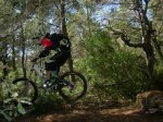 CircuÃ¯t DH Sa Creu 16-5-09 005.JPG