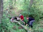 16052009_001.jpg