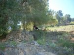 IMG_0822.jpg