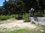 aguilucho042_1024x768.JPG