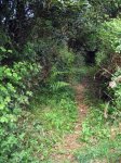 IMG_1392.jpg