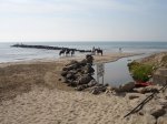 DSC03754.JPG