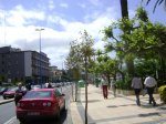 DSC02395.jpg