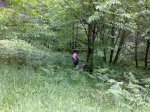 17052009408.jpg