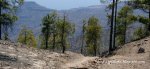 Panorama 14.JPG