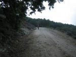 IMG_3774.jpg