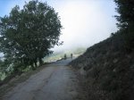 IMG_3777.jpg