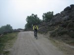IMG_3781.jpg