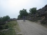 IMG_3782.jpg