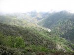 IMG_3787.jpg