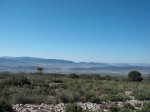 DSCF2868.jpg