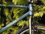 ritchey_front_2.jpg