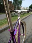 dsc00765t.jpg