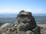 IMG_3812.jpg