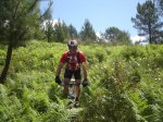 penca alta 031.jpg