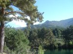 DSC02259.JPG