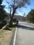 DSC02260.JPG