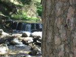 DSC02270.JPG