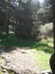 DSC02272.JPG