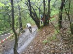 DSC00135.jpg