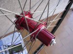 kibikes 008 (Large).jpg