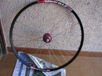 kibikes 010 (Large).jpg