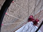 kibikes 016 (Large).jpg