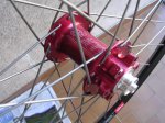 kibikes 014 (Large).jpg