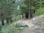 17052009505.jpg