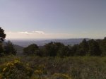 17052009495.jpg