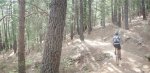 Panorama 1 (Medium).JPG