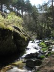 Foto 044.JPG